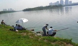 深圳钓鱼最新爆料,揭秘热门钓点与独家技巧分享